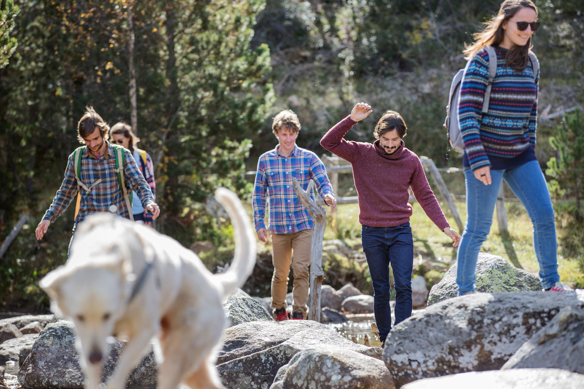 should-i-let-my-dog-off-leash-while-hiking-pocket-pals-trail-maps